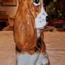 Large English Ceramic Pottery Hound Dog Image 2