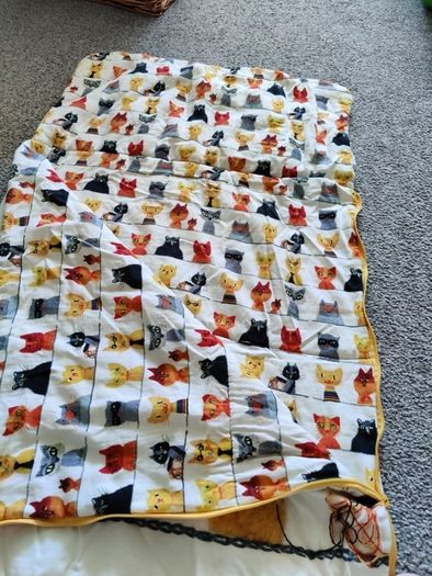 Toddler sleeping bag, bed in a bag
