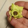 Coalport Vintage Fine Bone China Stickpin Image 10