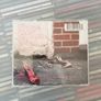 Amy Winehouse - Frank CD Image 2