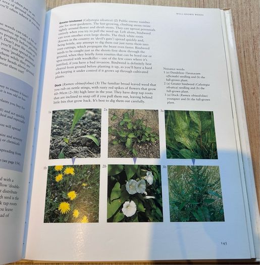 How to Be a Gardener - Book One Back to Basics