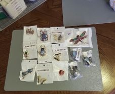 Costume jewellery collection