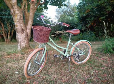 Martello Button Girl's Bike