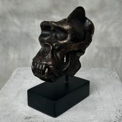 Gorilla Skull - Bronze