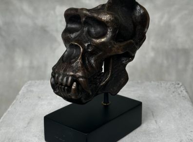 Gorilla Skull - Bronze