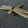 3 brass Insects, Solid brass. Image 8