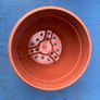 2 plastic flower pots Image 8