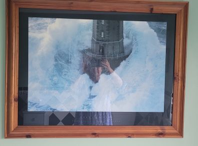 Large Framed Print