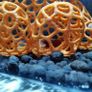 Teddy Bear Shrimp/Fish Hideout Aquarium, Moss Planting Image 5