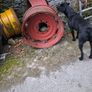 Farming Image 10