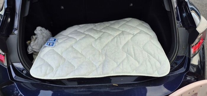 travel cot