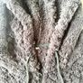 Mens 3XL Black Teddy Fleece Sherpa Hoodie Jacket Image 7