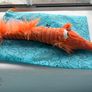Jellycat Retired Riley Razor Fish New With Tags Image 2
