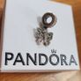 Pandora charm Image 6