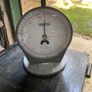 Weighing Scales, Salter Model 250 Image 2