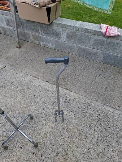 2 walking stick