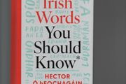 The Irish Words You Should Know. Hector O'hEochagain