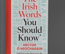 The Irish Words You Should Know. Hector O'hEochagain