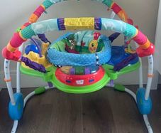 Baby Einstein Jumperoo
