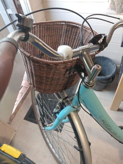 ladies bike