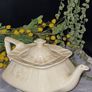 Antique C1930 ' Myott Teapot Image 3