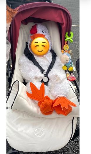 Bugaboo bee 6 with added extras