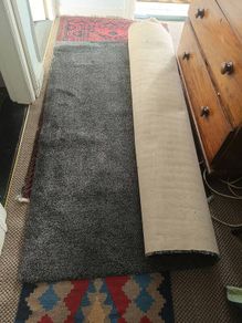carpet
