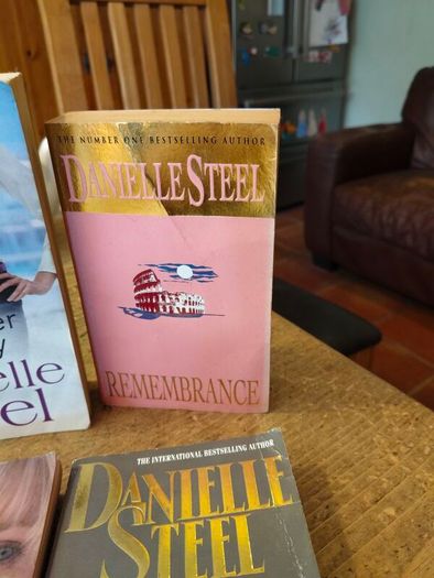4 Danielle Steel books.