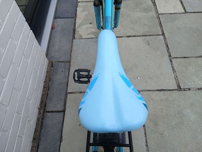 Girl's Bicycle