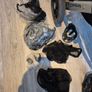 UPPAbaby Vista Travel System Image 2