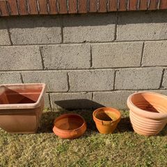 Plastic & Terracotta Pots