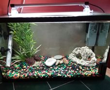 aquarium