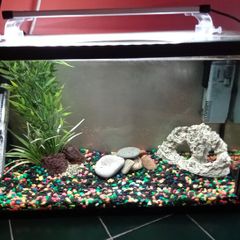 aquarium
