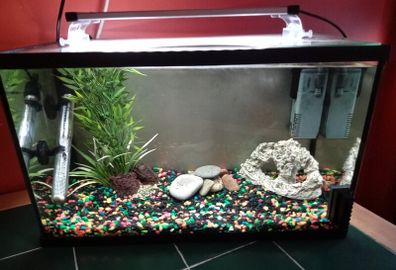 aquarium