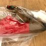 Christmas Draught Excluder Image 6