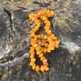 Vintage amber necklace Image 9