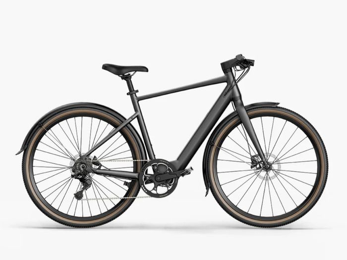 Fiido E-gravel C21 Electric Bike