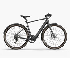 Fiido E-gravel C21 Electric Bike