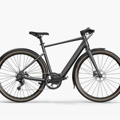 Fiido E-gravel C21 Electric Bike