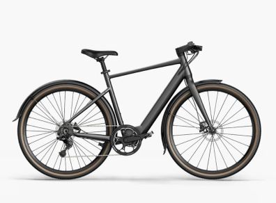 Fiido E-gravel C21 Electric Bike
