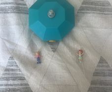 Polly pocket