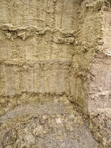 Pit silage