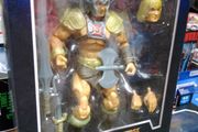 Masters Of The Universe MOTU Masterverse