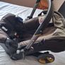 donna stroller Image 3