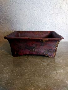 Small Bonsai Pot #7