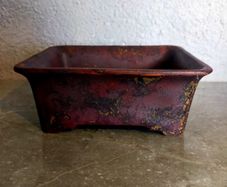 Small Bonsai Pot #7