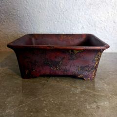 Small Bonsai Pot #7