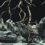 Aqua Nova Tree Roots/Water Double Sided Background 150x60cm Image 3
