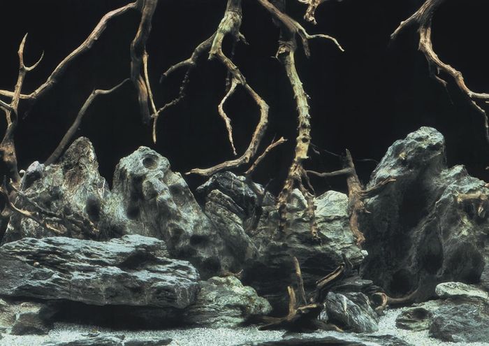 Aqua Nova Tree Roots/Water Double Sided Background 60x30cm