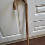 Walking stick briar Image 2
